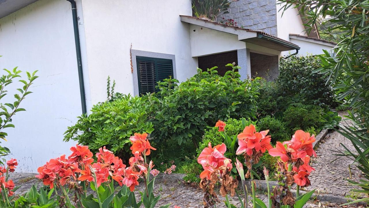Casa Pinho Pensionat São Pedro do Sul Exteriör bild