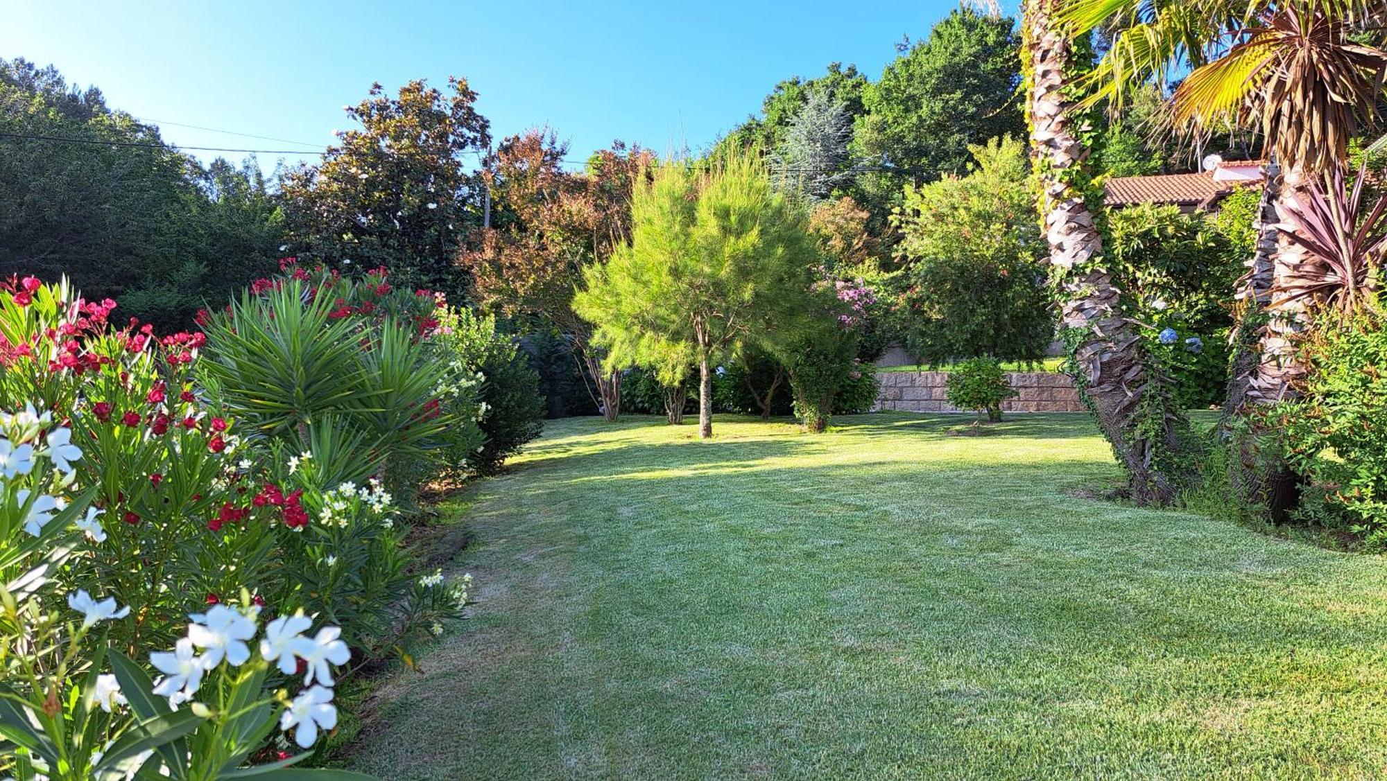 Casa Pinho Pensionat São Pedro do Sul Exteriör bild