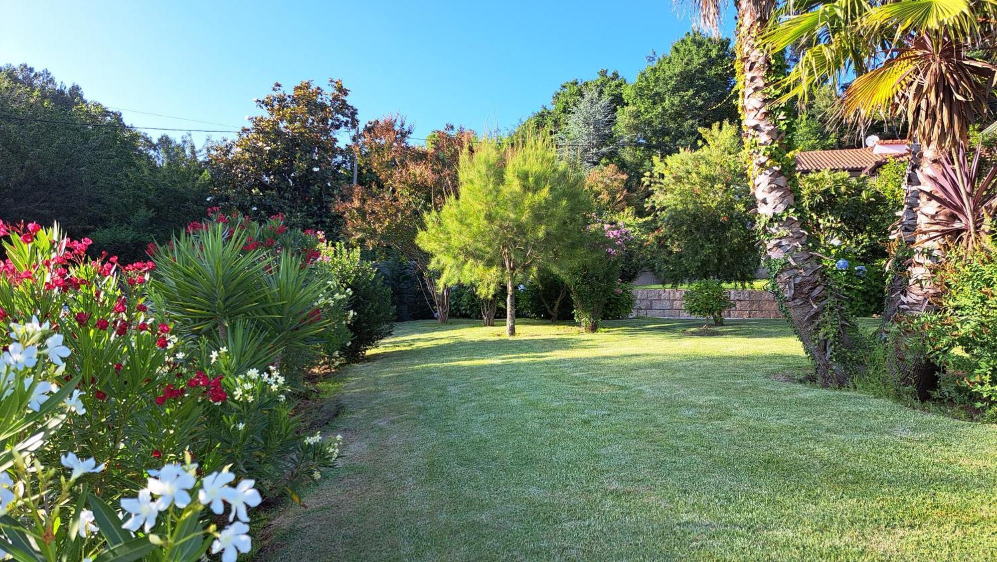Casa Pinho Pensionat São Pedro do Sul Exteriör bild