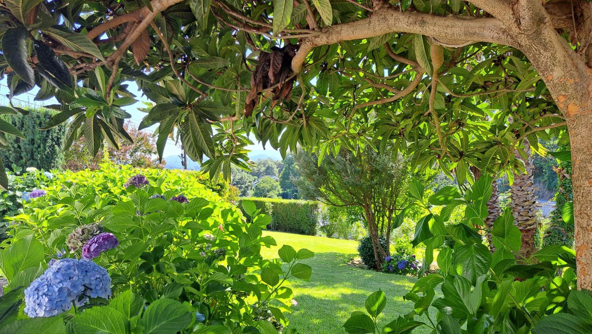 Casa Pinho Pensionat São Pedro do Sul Exteriör bild